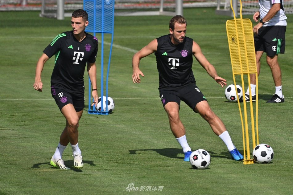 自己在任意 自己在任意